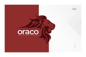 oraco Website Design
